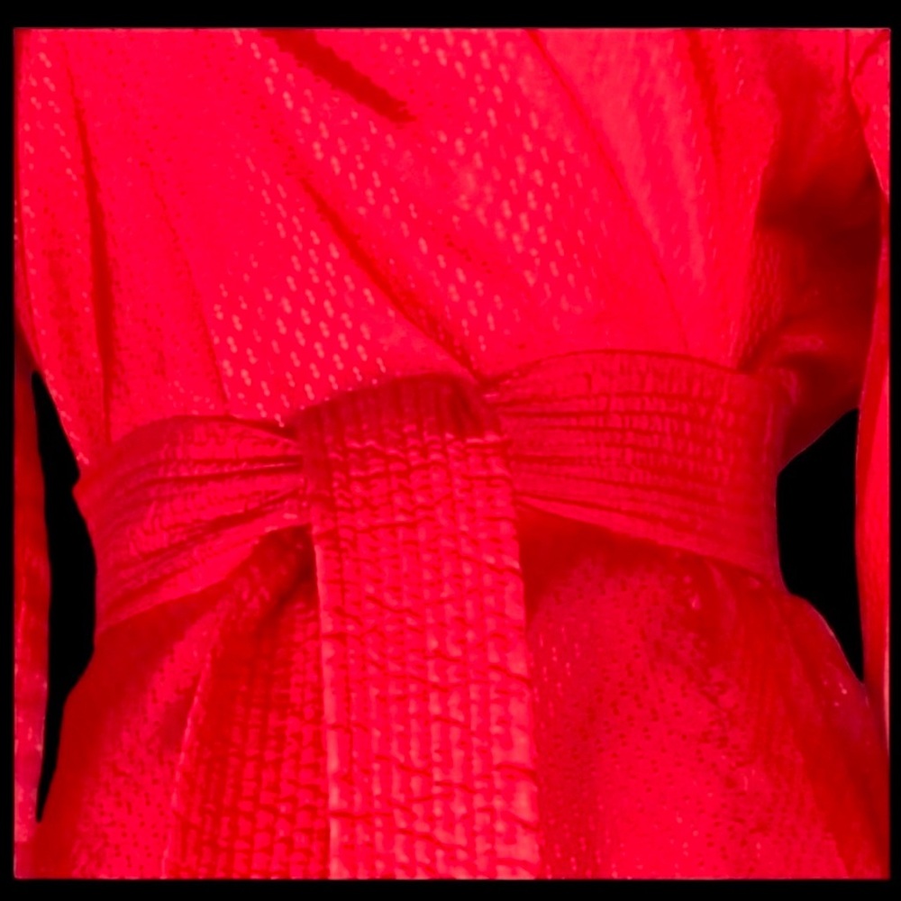 Authentic Vintage late 1940’s Robe
Movie Star Glam Red Kimono - Picture 9 of 9